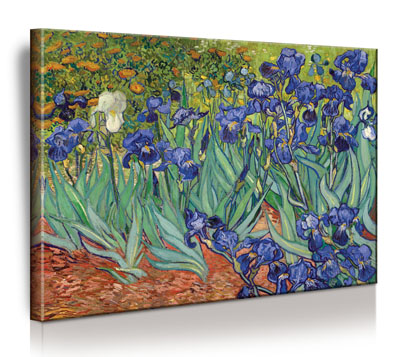 Van Gogh – Irises (Schwertlilien) - Bild auf Leinwand mit Keilrahmen