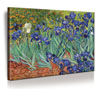 100x75 cm Van Gogh – Irises (Schwertlilien) 100x75